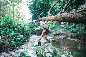 BIB: 
                            <button type="button" onclick="openModal(25431711)" class="btn btn-primary btn-sm float-right btn-popup" data-toggle="modal" data-target=".modal-high-quality">
                        <i class="fas fa-shopping-cart"></i> Add to Cart
                    </button>
                                            <button type="button" onclick="isThisMe(25431711, true)" class="btn btn-success btn-sm float-right btn-popup btn-isme hidden" data-toggle="tooltip" data-placement="bottom" title="นี่คือรูปของคุณใช่ไหม คลิกที่นี่เพื่อเอาเข้าอัลบั้ม">
                        <i class="fas fa-plus"></i> Add to album
                    </button>
                    <button type="button" onclick="isThisMe(25431711, false)" class="btn btn-warning btn-sm float-right btn-popup btn-isnotme hidden">
                        <i class="fas fa-ban"></i> Remove from album
                    </button>